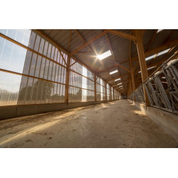 Bardage Tôle sèche nervurée creux d'onde H nerv 25mm x L 1085mm 25µ