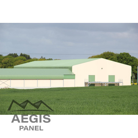 Couverture Tôle sèche Hnerv 40mm x L915mm 25µ