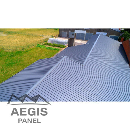 Panneau Sandwich isolé Eco Ep 30-40 L 1000mm 25µ