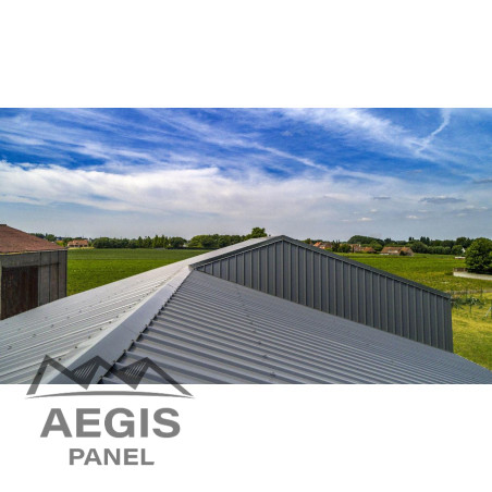 Panneau Sandwich isolé Eco Ep 30-40 L 1000mm 25µ