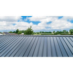 Panneau Sandwich isolé Eco Ep 30-40 L 1000mm 25µ