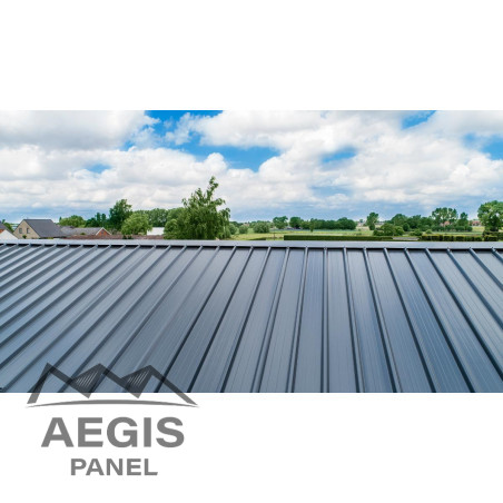 Panneau Sandwich isolé Eco Ep 30-40 L 1000mm 25µ