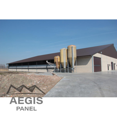 Panneau Sandwich isolé Eco Ep 60-100 L 1000mm 25µ