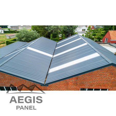 Panneau Sandwich isolé Eco Ep 60-100 L 1000mm 25µ