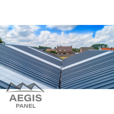 Panneau Sandwich isolé Eco Ep 60-100 L 1000mm 25µ