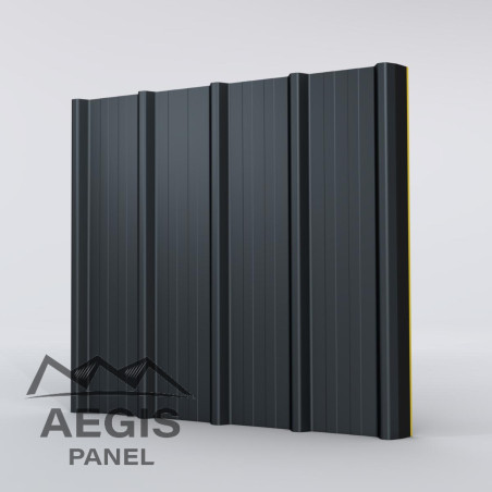 Panneau Sandwich isolé Eco Ep 60-100 L 1000mm 25µ