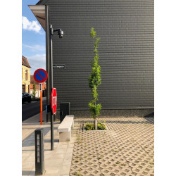 Bardage Panneau Sandwich Ardoise L1000mm 40µ