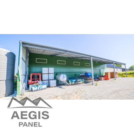 Bardage Panneau Sandwich Linéaire L1000mm 25µ