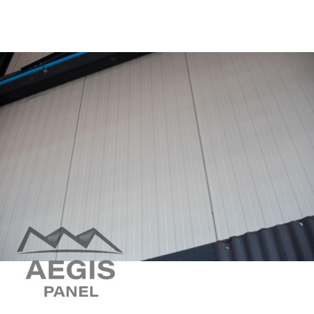 Bardage Panneau Sandwich Linéaire L1000mm 25µ