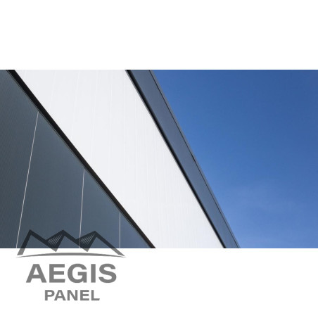 Bardage Panneau Sandwich FT Wall Linéaire x 1100mm 120 à 220 25µ