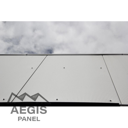 Bardage Panneau Sandwich FT Wall Micro x 1100mm 120 à 220 25µ