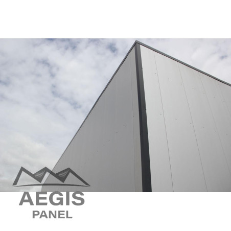 Bardage Panneau Sandwich FT Wall Micro x 1100mm 120 à 220 25µ