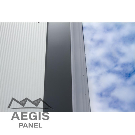 Bardage Panneau Sandwich FT Wall Micro x 1100mm 120 à 220 25µ