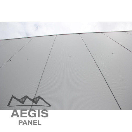 Bardage Panneau Sandwich FT Wall Micro x 1100mm 120 à 220 25µ