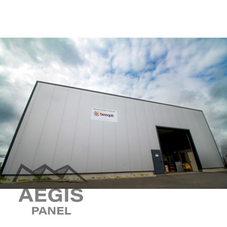 Bardage Panneau Sandwich FT Wall Micro x 1100mm 80 à 100 25µ