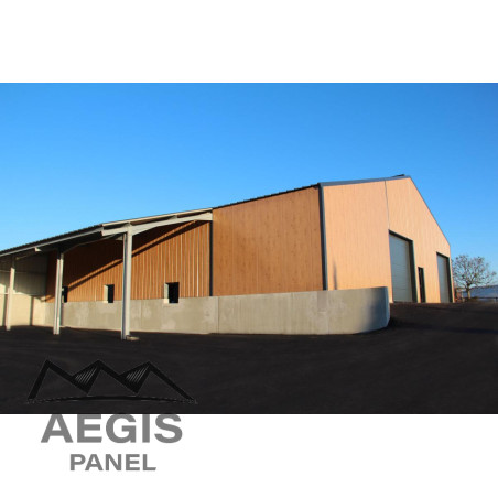 Bardage Panneau Sandwich FT Wall Micro x 1150mm 25µ