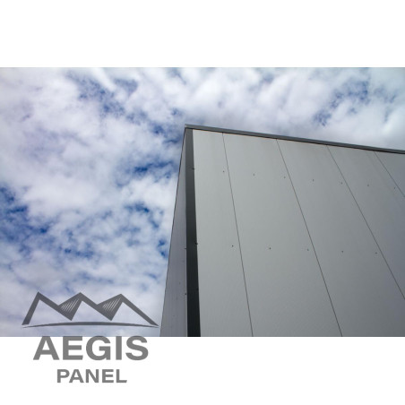 Bardage Panneau Sandwich FT Wall Micro x 1150mm 25µ