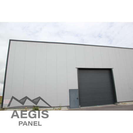 Bardage Panneau Sandwich FT Wall Micro x 1150mm 25µ