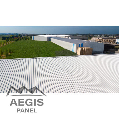 Couverture Panneau Sandwich Roof Agro 1000 H nerv 45mm L 1000mm 25µ