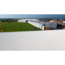 Couverture Panneau Sandwich Roof Plus 1000 H nerv 45mm L 1000mm 60µ