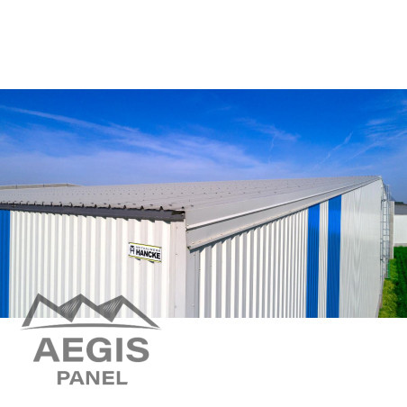 Couverture Panneau Sandwich Roof Plus 1000 H nerv 45mm L 1000mm 60µ