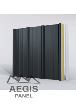 Couverture Panneau Sandwich Roof Plus 1000 H nerv 45mm L 1000mm 60µ