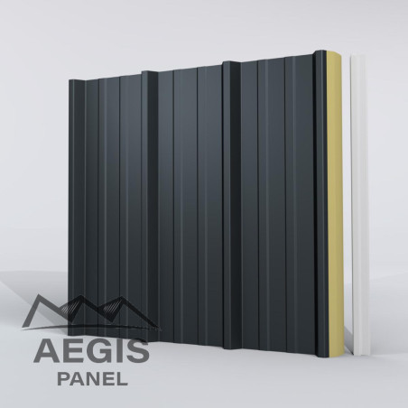 Couverture Panneau Sandwich Roof Plus 1000 H nerv 45mm L 1000mm 60µ