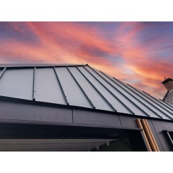 Couverture Panneau Sandwich Roof 1000 H nerv 45mm L 1000mm 25µ