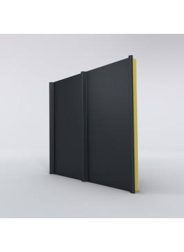 Couverture Panneau Sandwich Roof 1000 H nerv 45mm L 1000mm 25µ