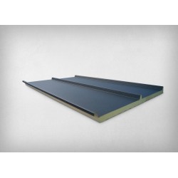 Couverture Panneau Sandwich Roof 1000 H nerv 45mm L 1000mm 25µ