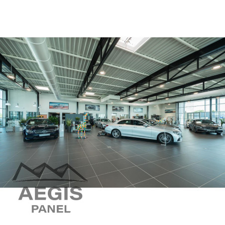 Plancher sec PML Tôle sèche Hnerv 42mm x L1010mm - 252mm