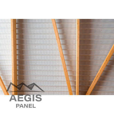 Support d'étanchéité Plancher sec Interieurcoating perforée Hnerv 56mm x L900mm 15µ