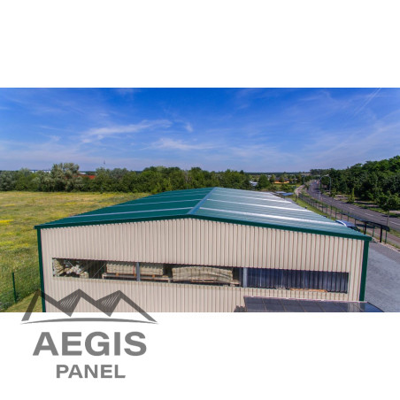 JI Roof 1000  - AEGIS PANEL