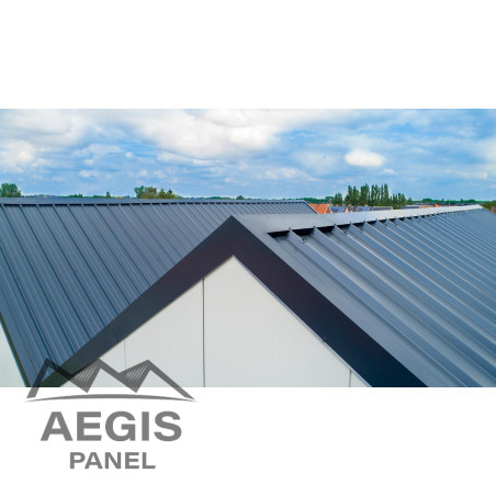 JI Roof 1000  - AEGIS PANEL