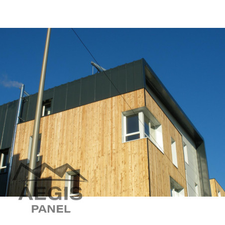 Couverture Panneau Sandwich Roof 1000 H nerv 45mm L 1000mm 25µ