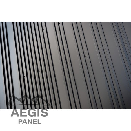 JI MAGINE - AEGIS PANEL