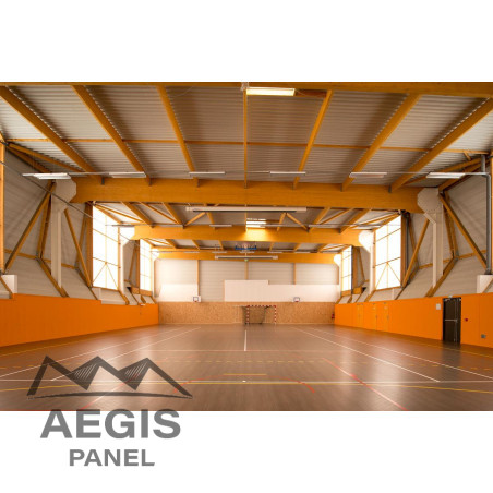 JI 50-239-956 Perfo - AEGIS PANEL