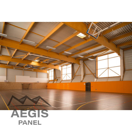 JI 50-239-956 Perfo - AEGIS PANEL