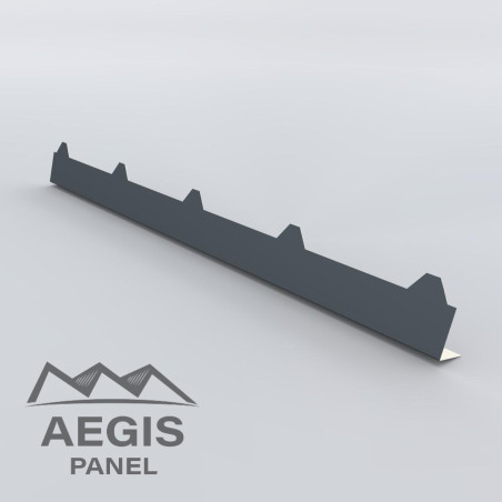 Cache-isolation Eco - AEGIS PANEL