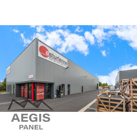 Bardage Panneau Sandwich Vulcasteel 1000FC (Linéaire) 1000mm 25µ